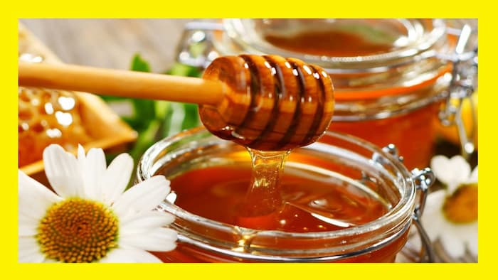 فروش ویژه اینترنتی عسل دارویی هانیوا + قیمت مناسب